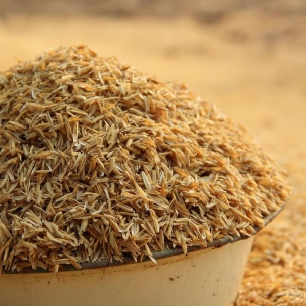 Rice Husk